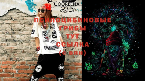 ECSTASY Корсаков