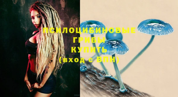 бутират Коряжма
