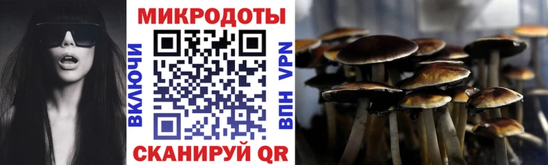 Псилоцибиновые грибы мицелий  наркотики  Керчь 